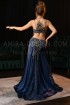 Professional bellydance costume (Classic 261 A_1)